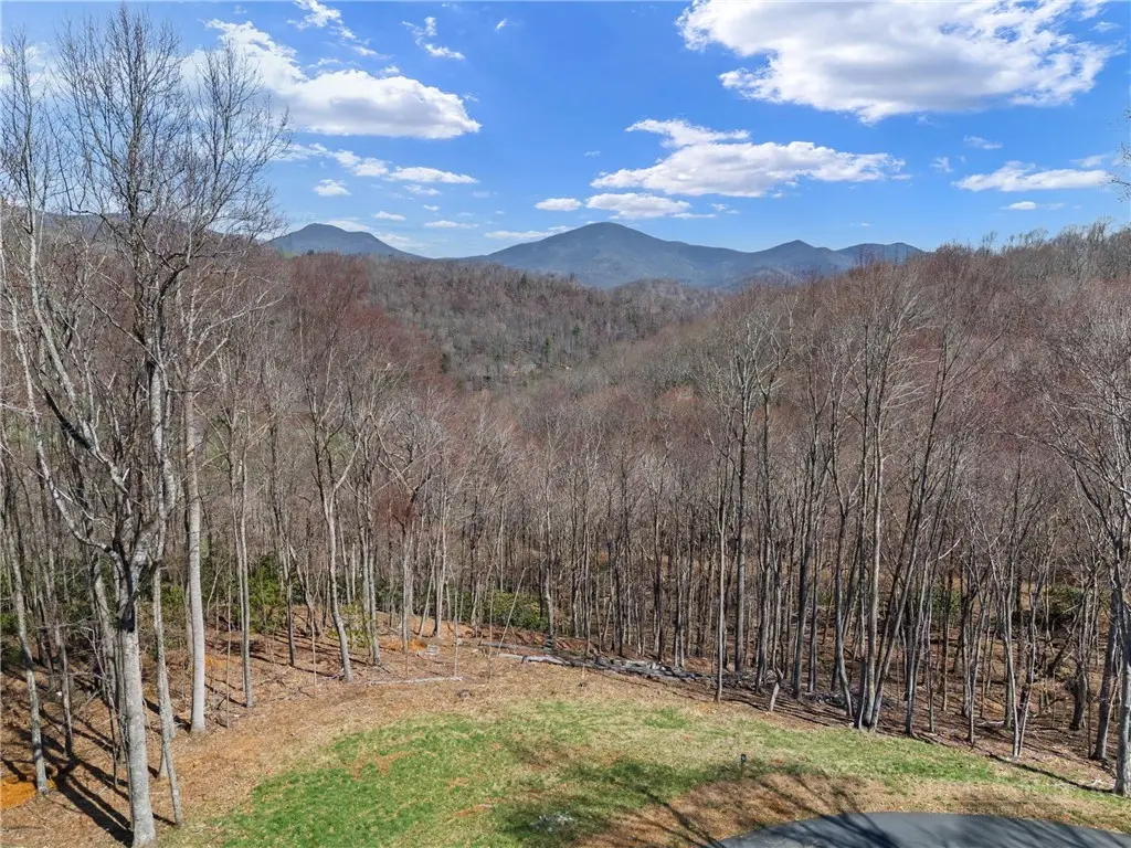 Lot 36 Poplar Forest Drive, Boone, NC 28607 - #1