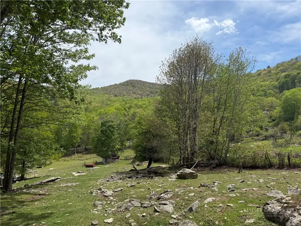 TBD Spice Creek Road, Banner Elk, NC 28604 - #1
