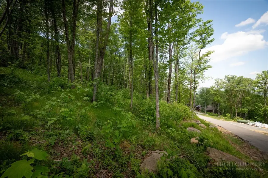 ES-15 Eagles Feather Trail, Banner Elk, NC 28604 - #2