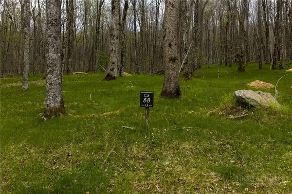 ES-88 Lands End Trail, Beech Mountain, NC 28604