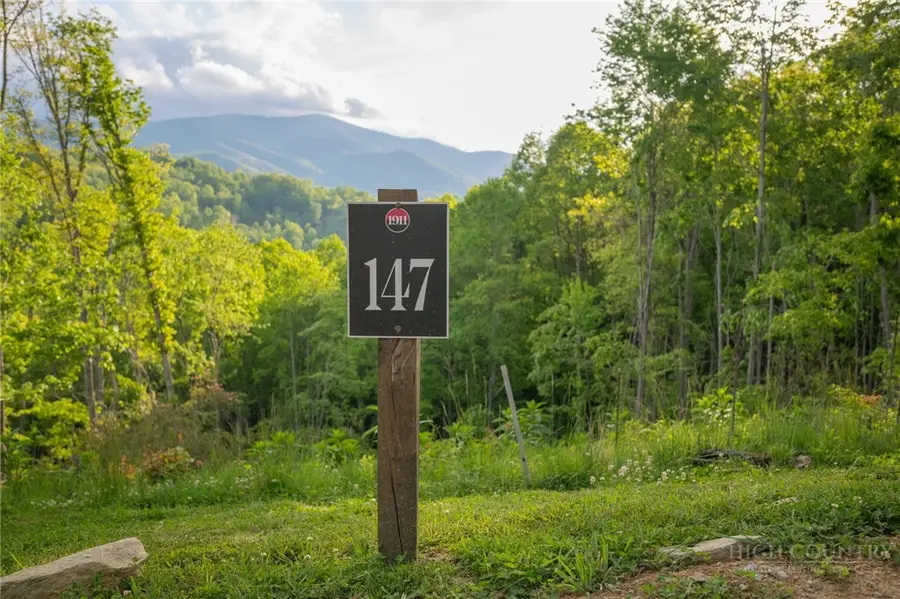Lot 147 Old Forge Trail, Elk Park, NC 28622 - #3