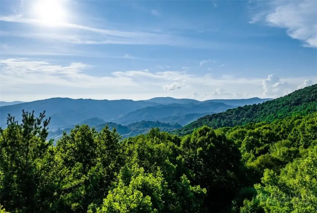 Lots 28 and 29 Marta Lane, Zionville, NC 28698 - #1