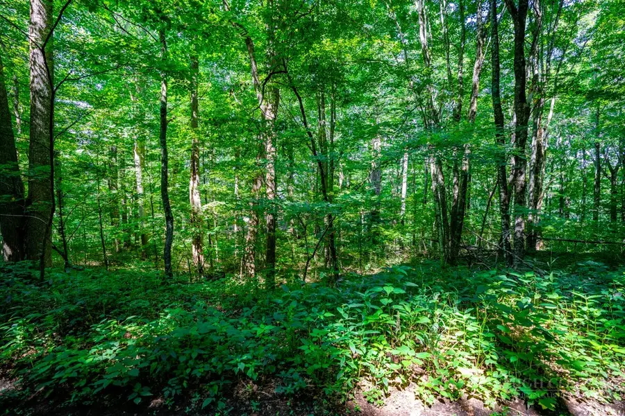 Lots 28 and 29 Marta Lane, Zionville, NC 28698 - #3