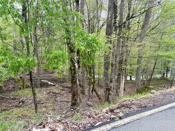 213 Lake Road, Beech Mountain, NC 28604