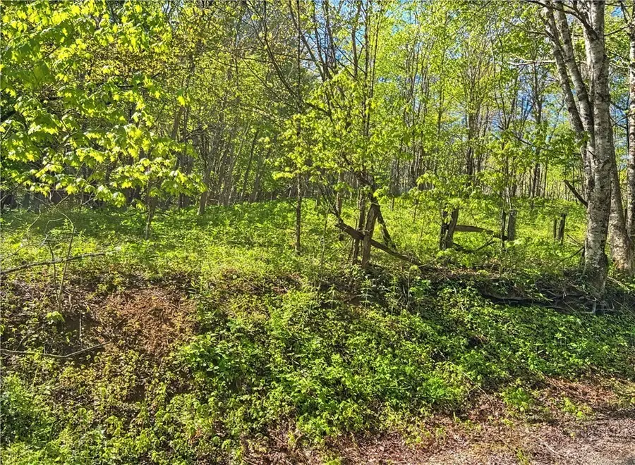 TBD Ed Perry Ln NC Tbd Ed Perry Ln Nc Lane, Banner Elk, NC 28604 - #2