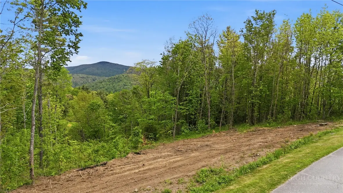 Lot 73 Linhigh Drive, Newland, NC 28657 - #1