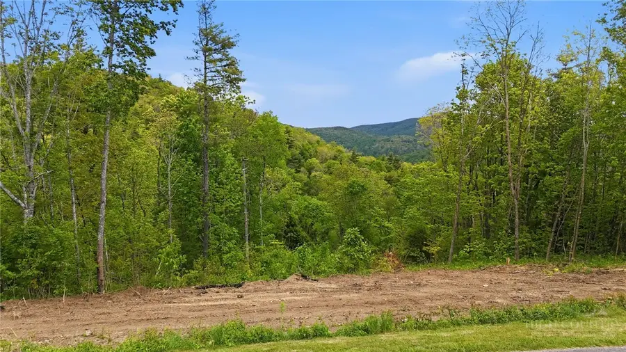Lot 73 Linhigh Drive, Newland, NC 28657 - #2