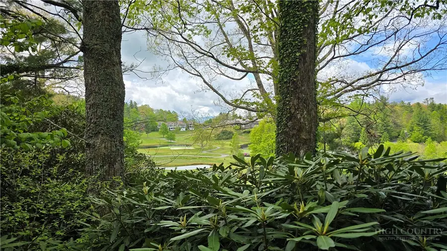 654 Goforth Road, Blowing Rock, NC 28605 - #2