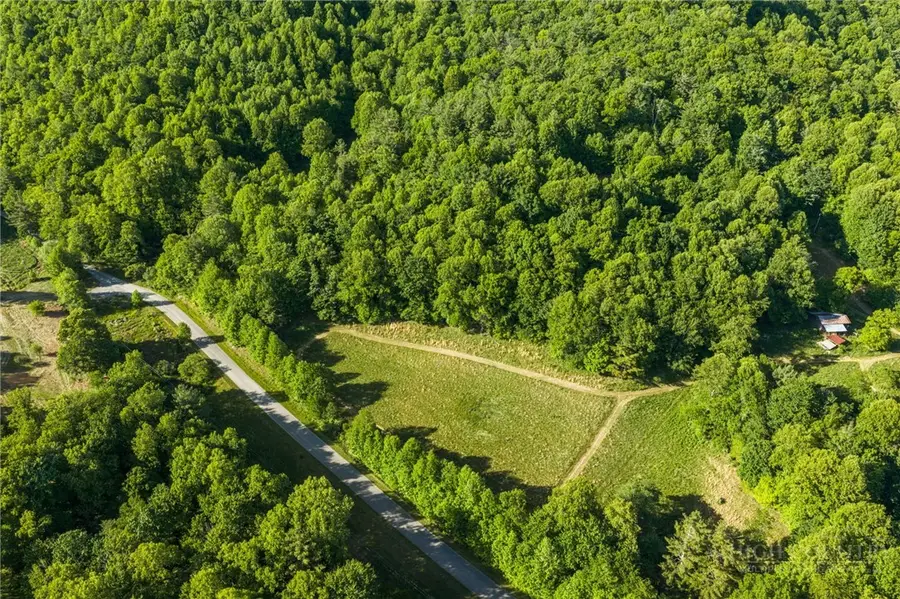 TBD Lawrence Greene Road, Deep Gap, NC 28618 - #3