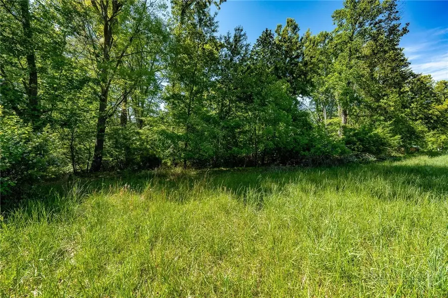 TBD Goose Bradley Lane, Butler, TN 37640 - #2
