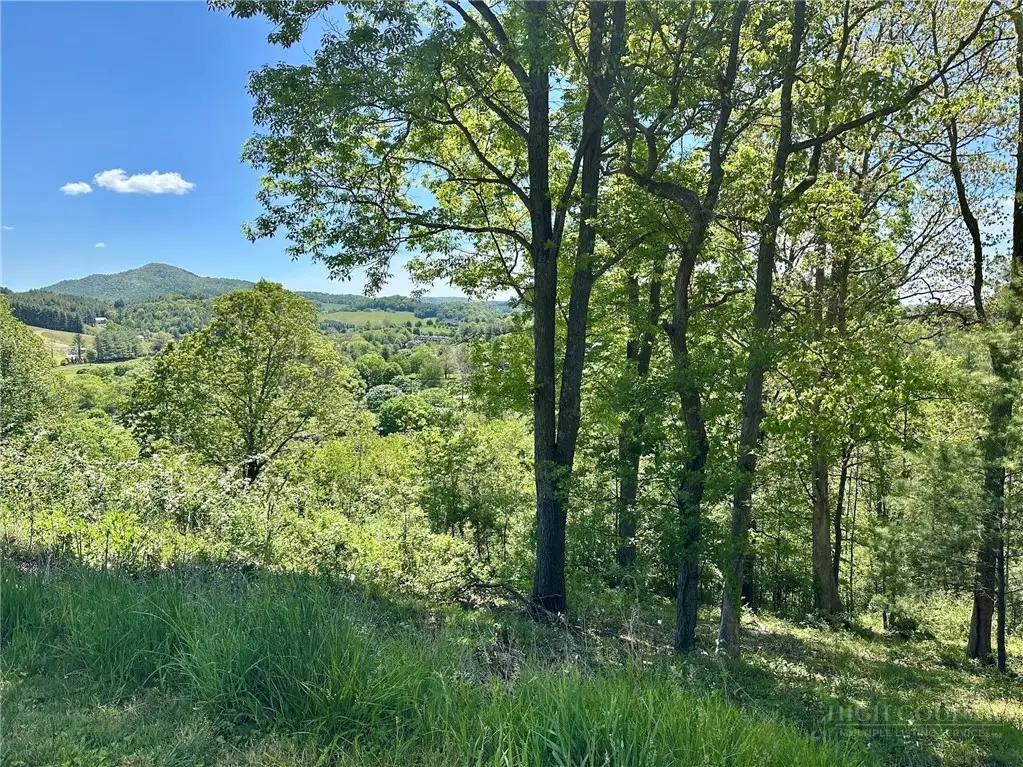 TBD Morning Mist Lane, Jefferson, NC 28640 - #1