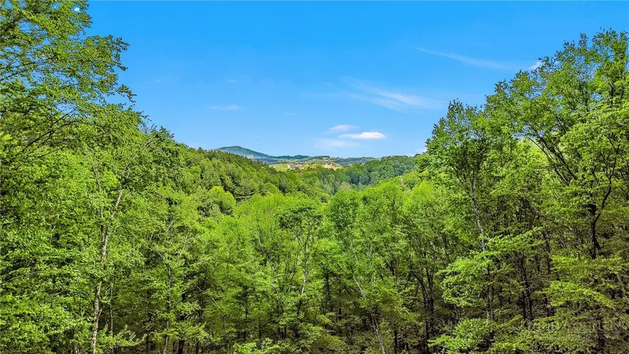 951 Woodland Shores, Jefferson, NC 28640 - #2