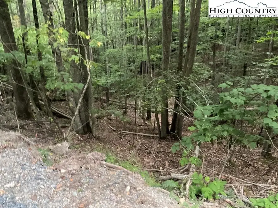 145 Raccoon Road, Beech Mountain, NC 28604 - #3