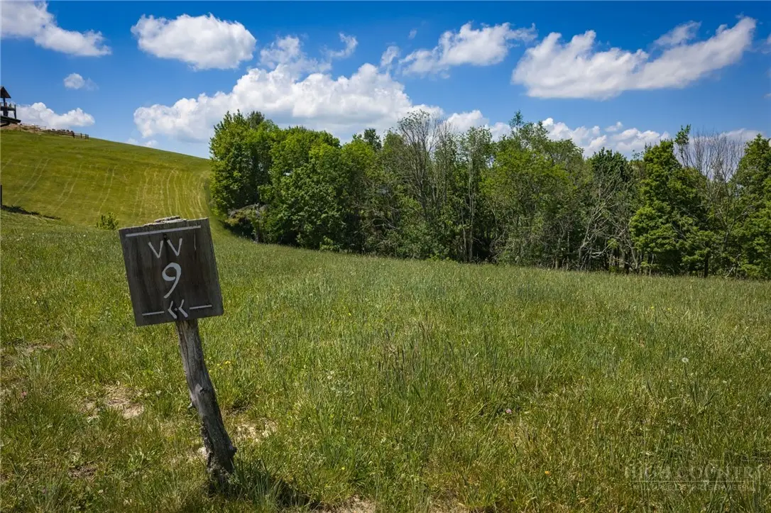 VV-9 Vineyard Trail, Banner Elk, NC 28604 - #1