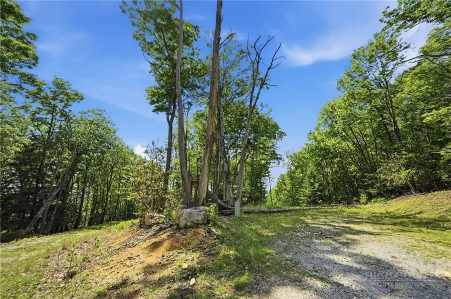 S85A Talon Court, Banner Elk, NC 28604 - #3