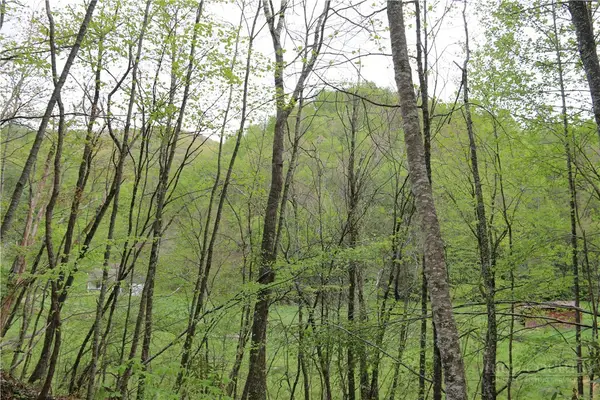 TBD Flatwoods School Road, Creston, NC 28615