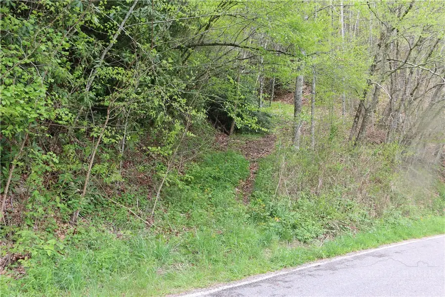 TBD Flatwoods School Road, Creston, NC 28615 - #3