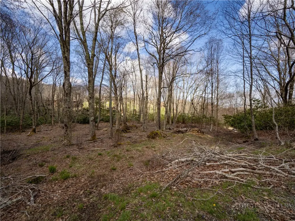 ES42 Firesong Lane, Banner Elk, NC 28604 - #1