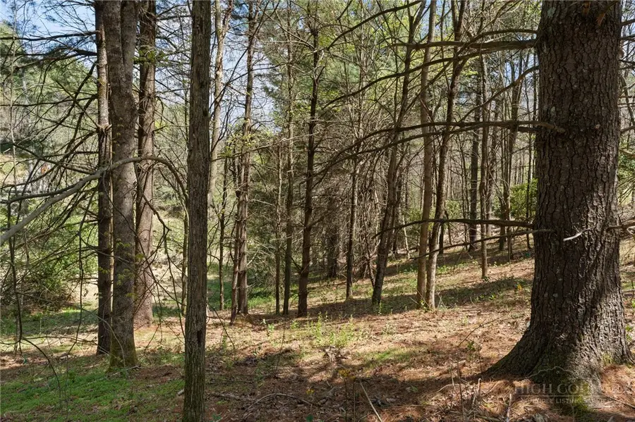 TBD Highland Ridge Road, Blowing Rock, NC 28605 - #2