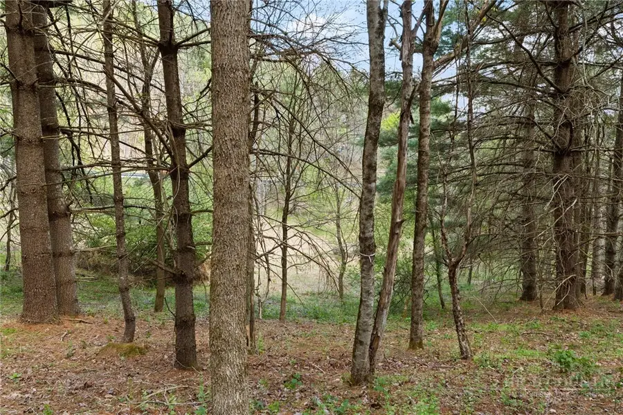 TBD Highland Ridge Road, Blowing Rock, NC 28605 - #3