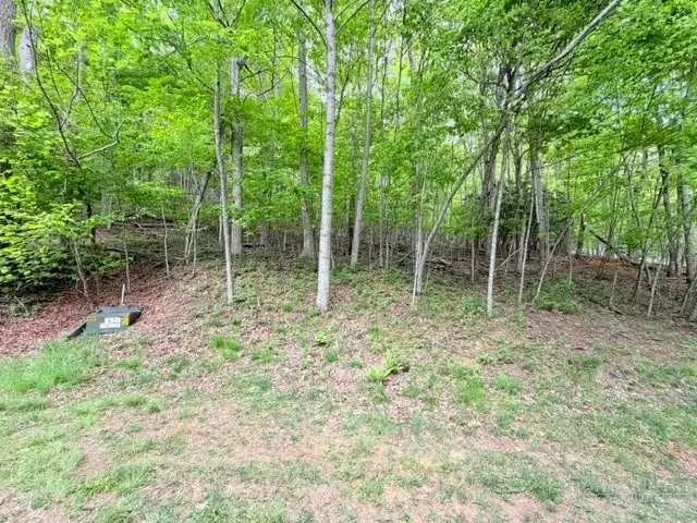 Lot 136 Lauren Lane, West Jefferson, NC 28694 - #2