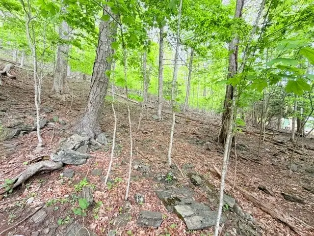 Lot 136 Lauren Lane, West Jefferson, NC 28694 - #3