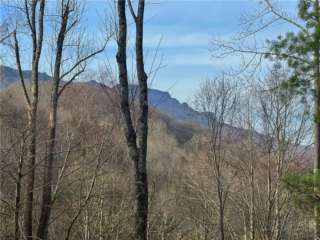 TBD Basswood, Banner Elk, NC 28604 - #1