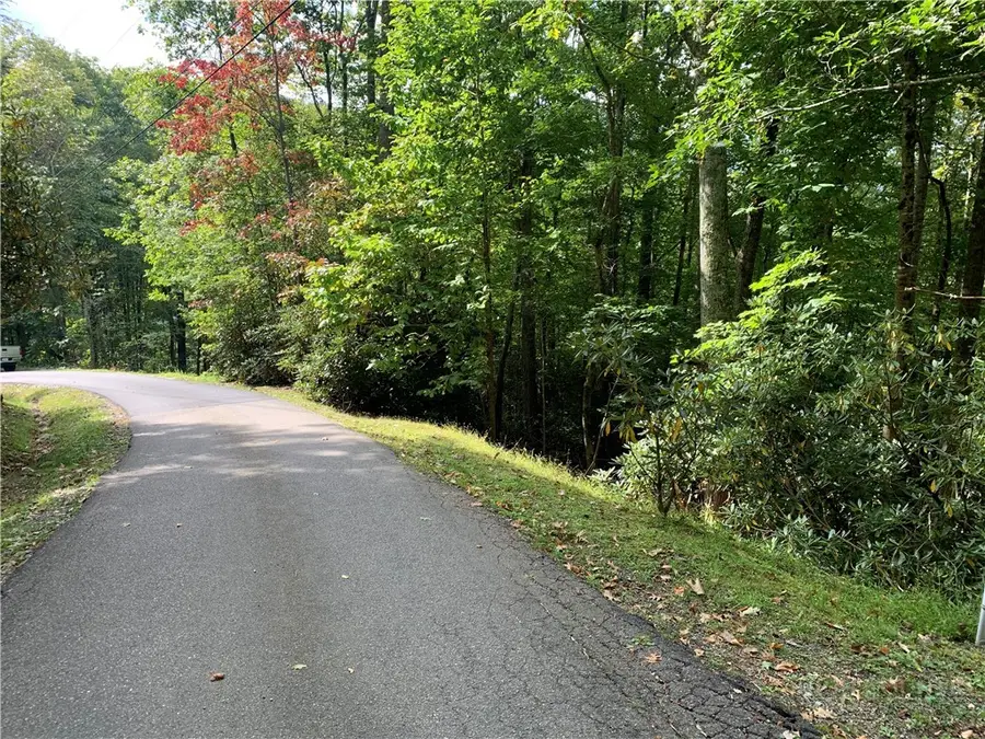 TBD Basswood, Banner Elk, NC 28604 - #2