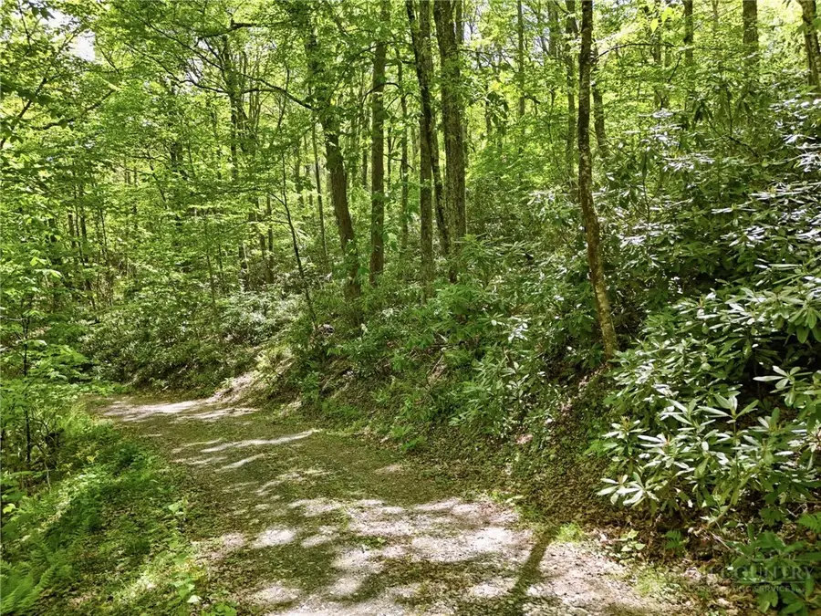 Lot #25 Snow Ridge Road, Banner Elk, NC 28604 - #3