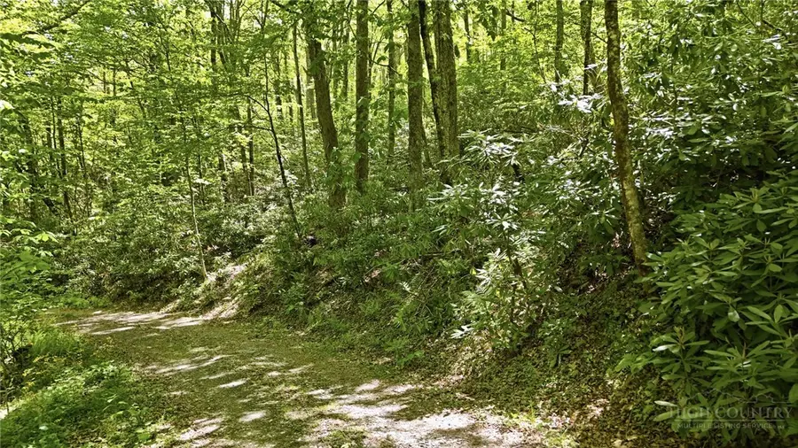 Lot #26 Snow Ridge Road, Banner Elk, NC 28604 - #3