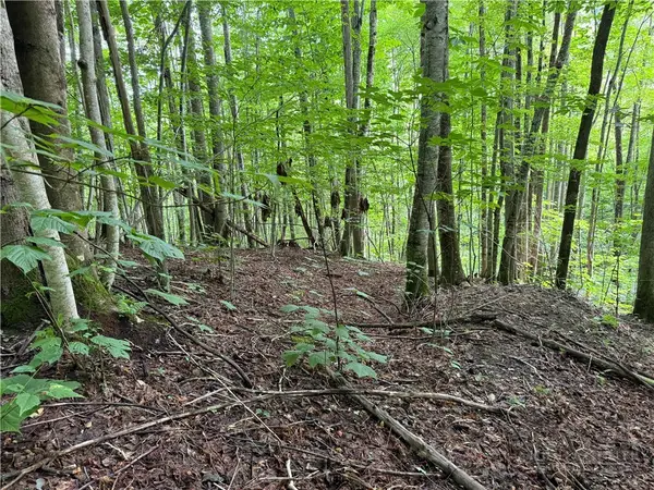 Lot 3 Buckeye Ridge Road, Beech Mountain, NC 28604