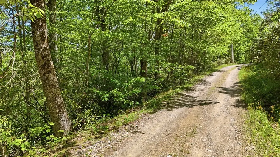 Lot#29 Snow Ridge Road, Banner Elk, NC 28604 - #2