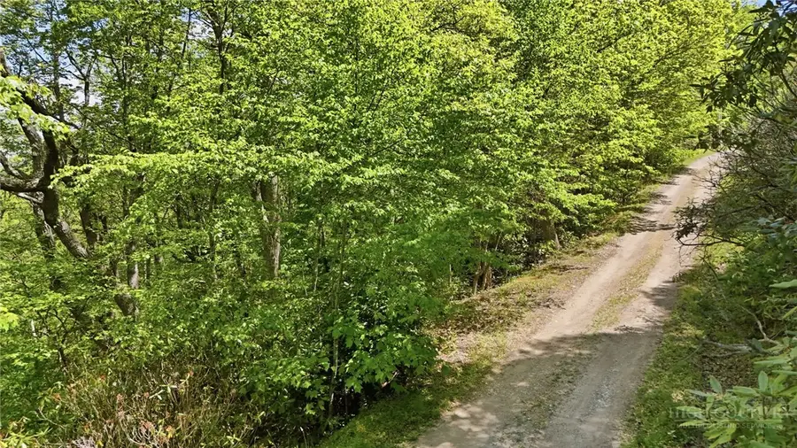 Lot #30 Snow Ridge Road, Banner Elk, NC 28604 - #3