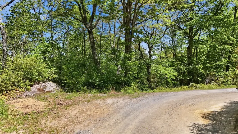Lot #33 Snow Ridge Road, Banner Elk, NC 28604 - #2