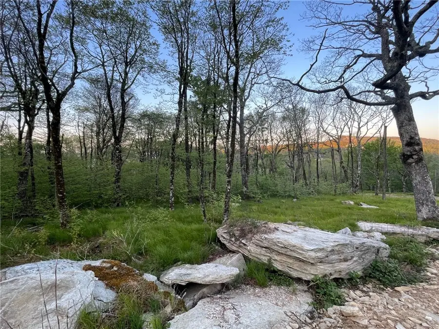 TBD Spur Lane, Beech Mountain, NC 28604 - #2