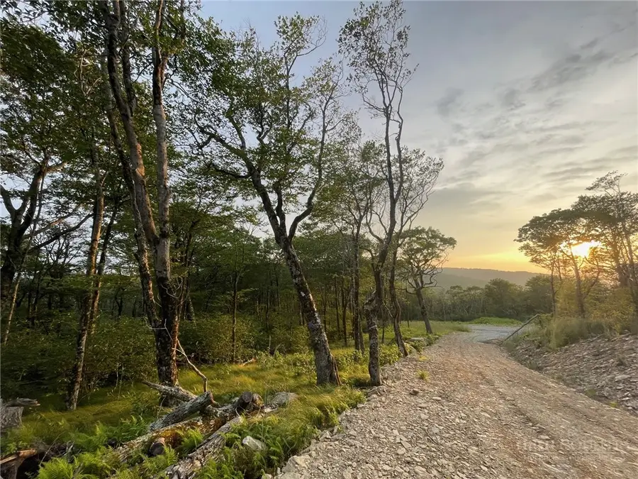 TBD Spur Lane, Beech Mountain, NC 28604 - #3