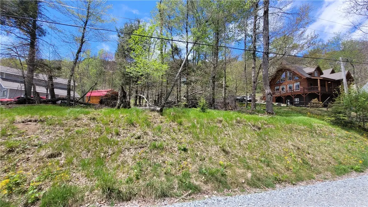 112 Foxgrape Hollow, Beech Mountain, NC 28604 - #1