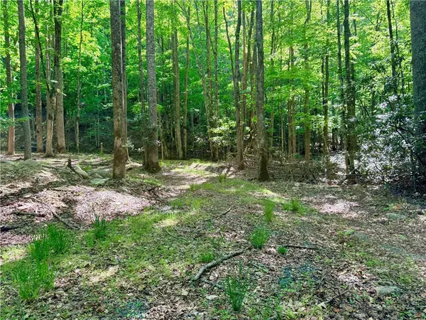 Lot 5A Buckeye Ridge Road, Beech Mountain, NC 28604