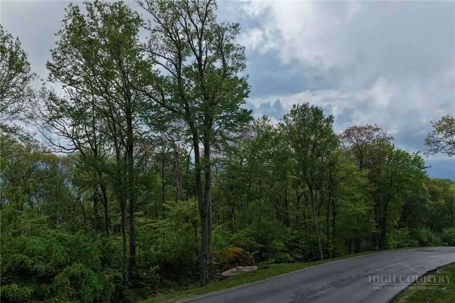 Lot 36 Eagles Nest Trail, Banner Elk, NC 28604 - #2