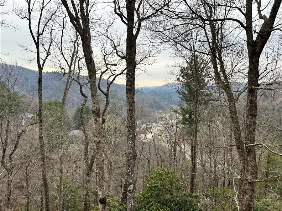265 Mine Branch Road, Blowing Rock, NC 28605 - #3