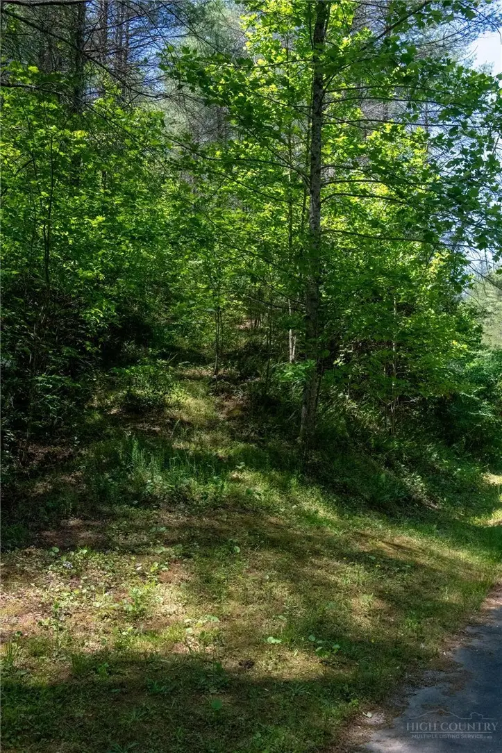 000 Narrow Gauge Drive #18, Johns River, NC 28611 - #3