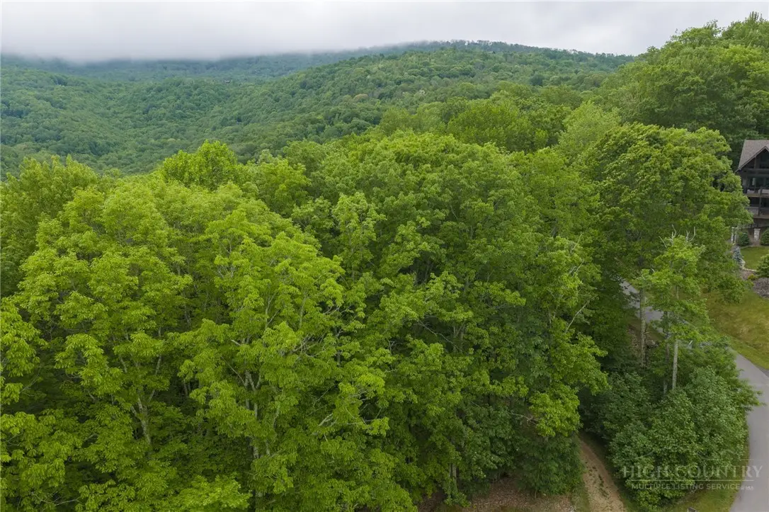 Lot 113 Eagle Park Drive, Banner Elk, NC 28604 - #1