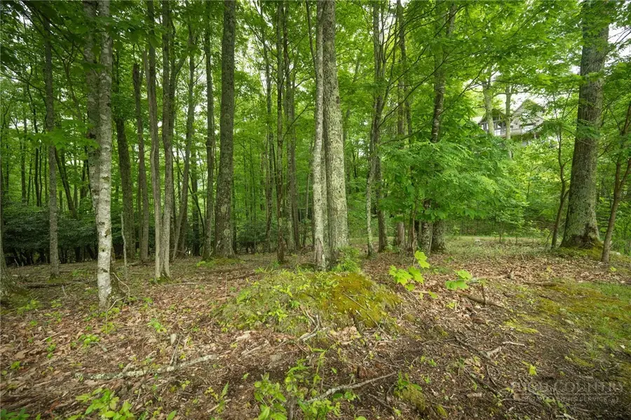 Lot 113 Eagle Park Drive, Banner Elk, NC 28604 - #2