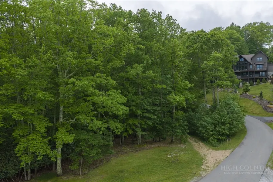 Lot 113 Eagle Park Drive, Banner Elk, NC 28604 - #3
