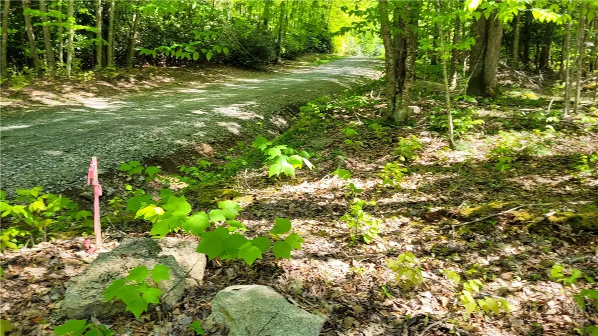 TBD Buckeye Ridge Road, Beech Mountain, NC 28604 - #1