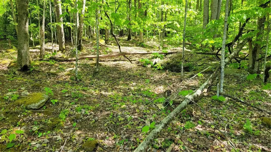 TBD Buckeye Ridge Road, Beech Mountain, NC 28604 - #2