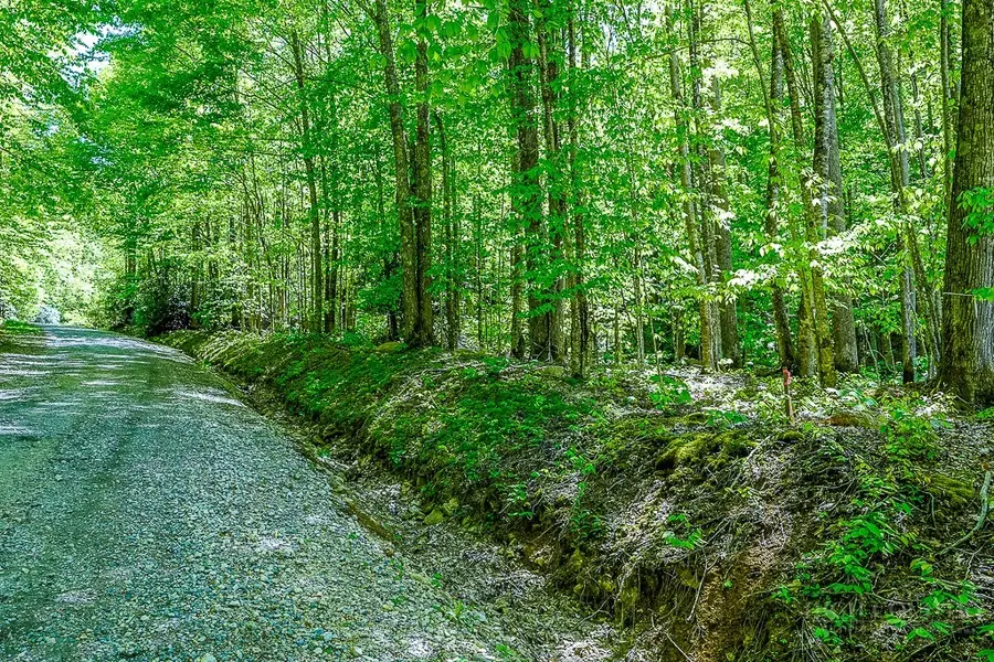 TBD Buckeye Ridge Road, Beech Mountain, NC 28604 - #3