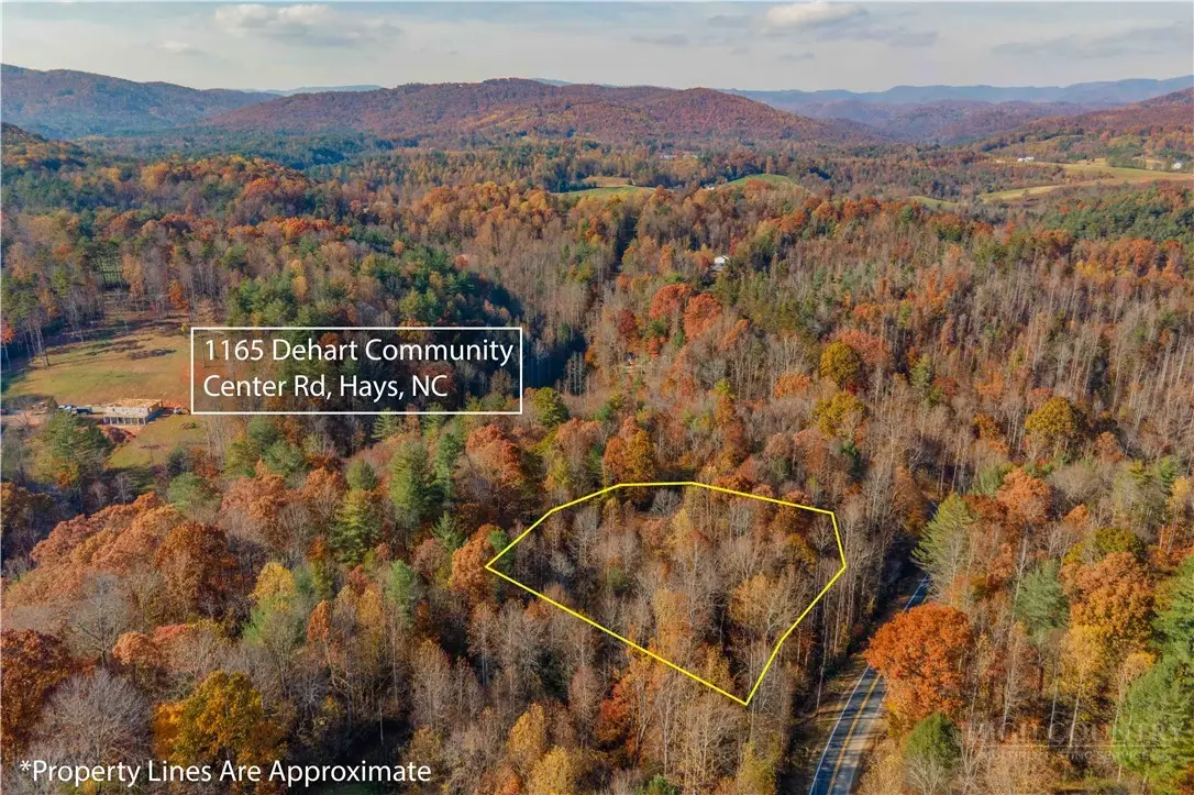 1165 Dehart Community Center Road, Hays, NC 28635 - #1