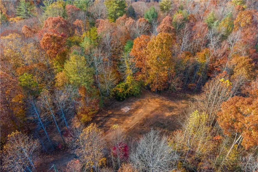 1165 Dehart Community Center Road, Hays, NC 28635 - #3