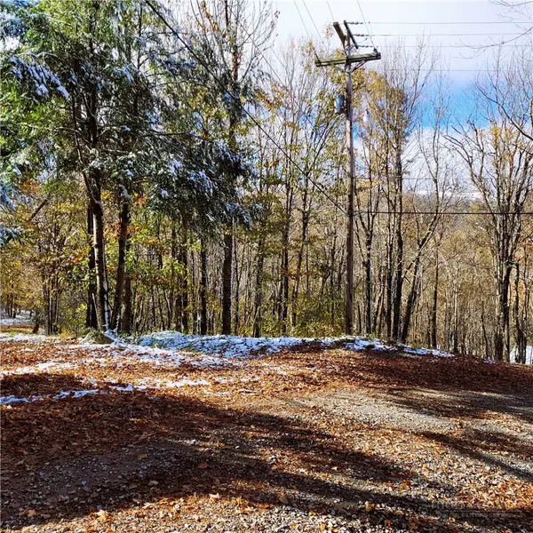 1026 Charter Hills (plus Tract 2) Road, Beech Mountain, NC 28604